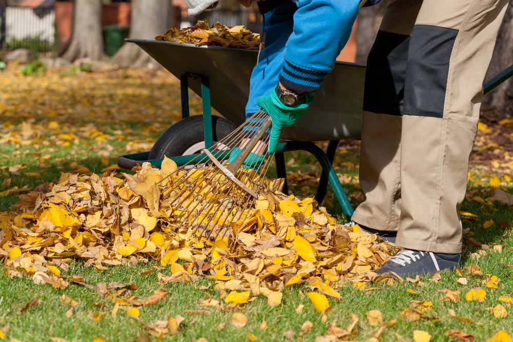 When to Do Fall Landscaping